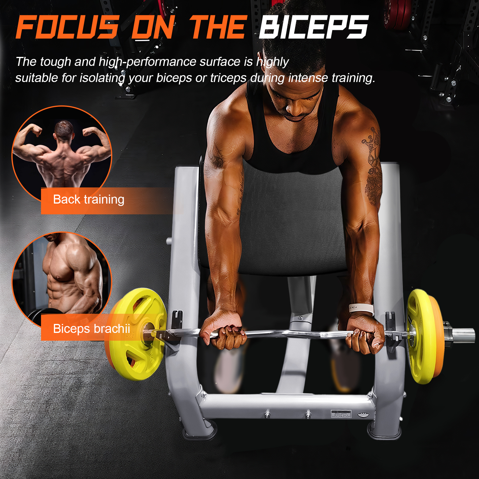 Adjustable Preacher Curl Bench - Home Gym Dumbbell Workout のレビューと価格