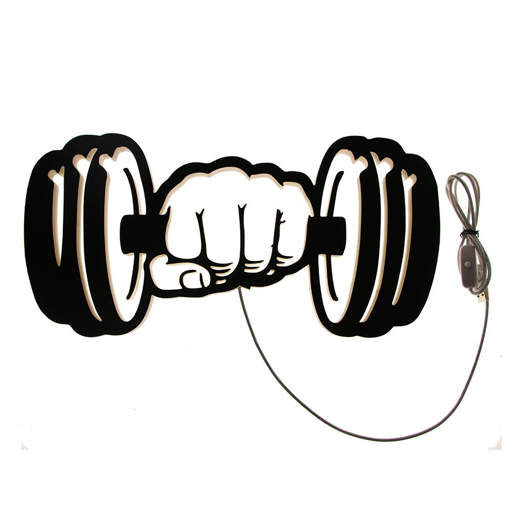 Dumbbells Strength LED Wall Li - Home Gym Dumbbell Workout のレビューと価格