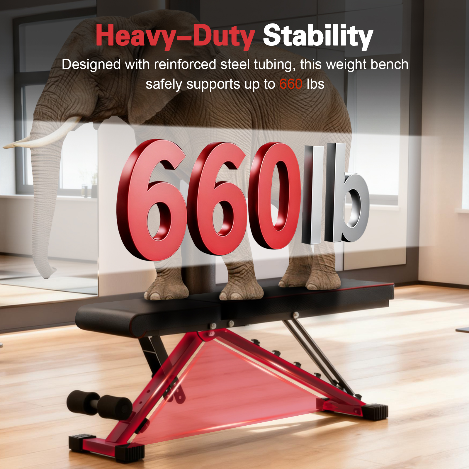 Multifunctional Dumbbell Bench - Home Gym Full Setup のレビューと価格