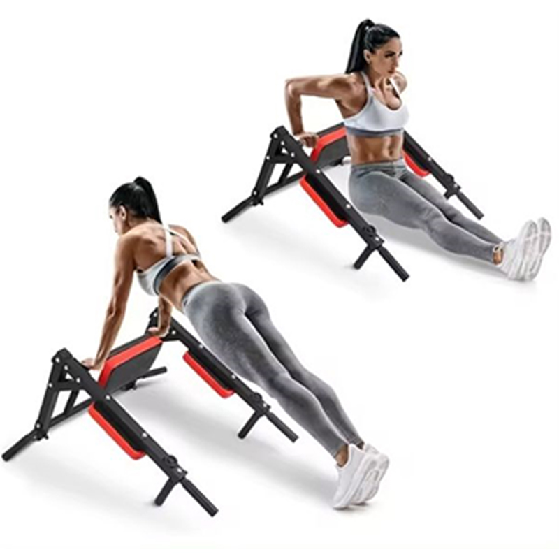 Heavy Duty Wall Mounted Parall - Home Gym Leg のレビューと価格