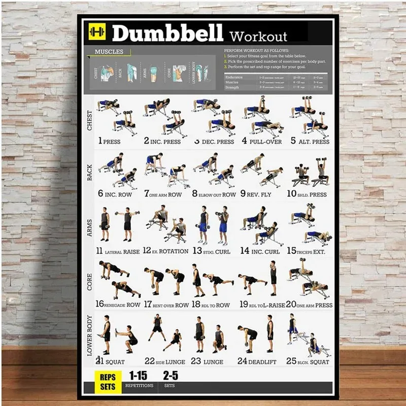 Canvas Painting Dumbbell Worko - Home Gym Dumbbell Workout のレビューと価格