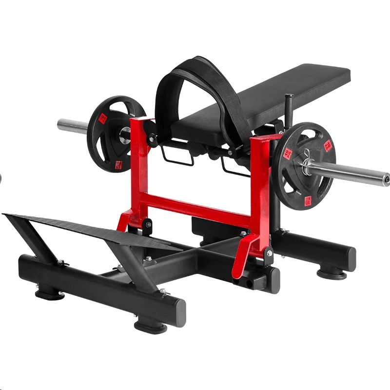 Glute and abdominal exercise m - Home Gym Leg Press のレビューと価格