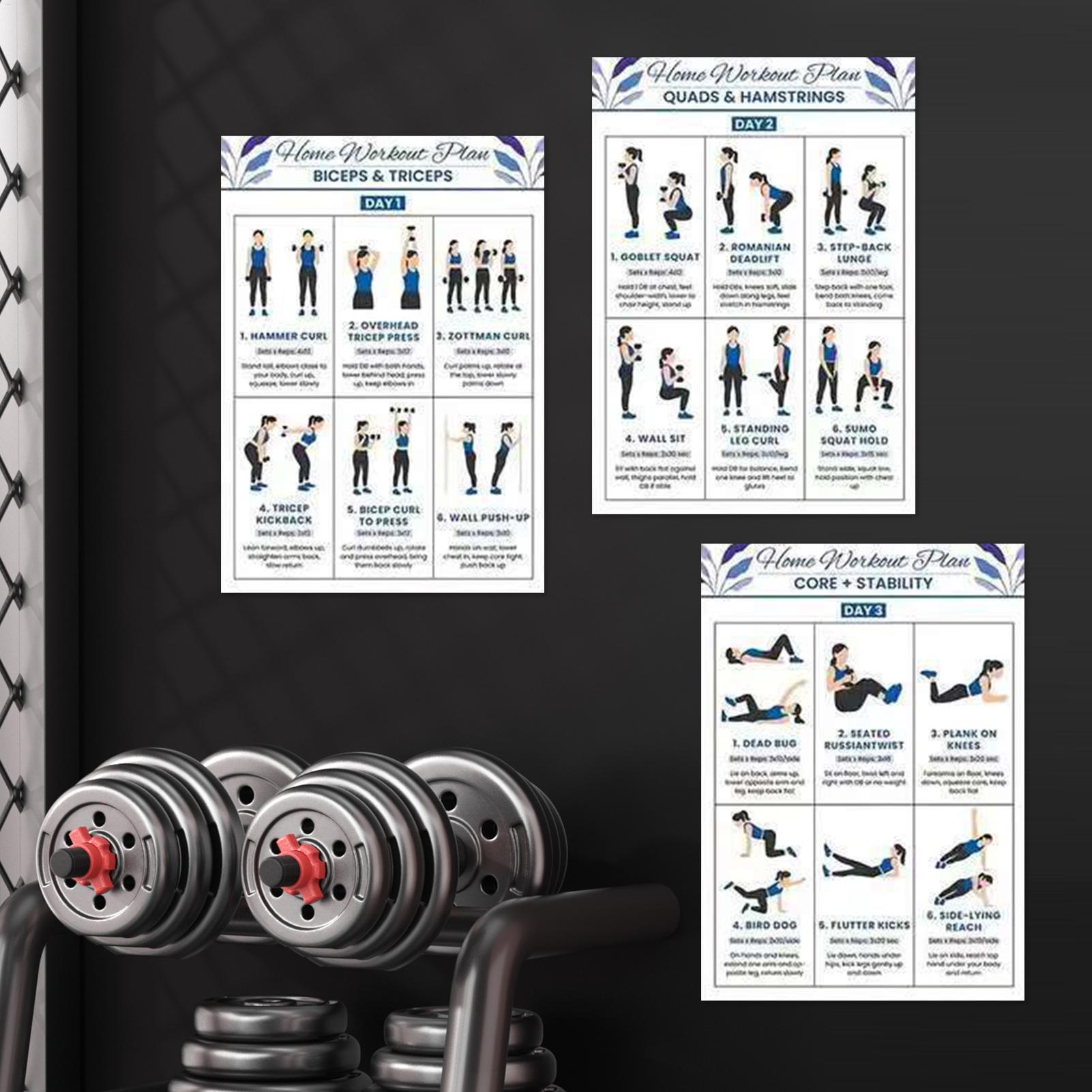 6pcs Yoga Dumbbell Stretching  - Home Gym Dumbbell Workout のレビューと価格